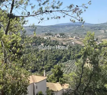 Οικιστικό 1040τ.μ. προς πώληση φωτογραφία 4
