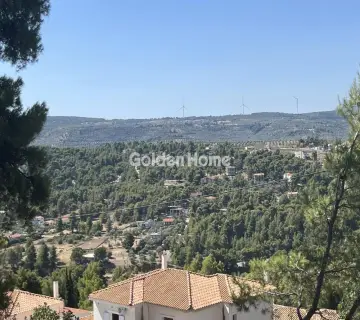 Οικιστικό 1040τ.μ. προς πώληση φωτογραφία 5