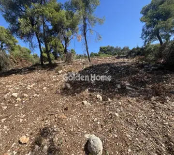 Οικιστικό 1040τ.μ. προς πώληση φωτογραφία 13