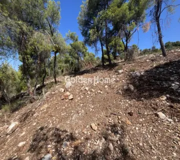 Οικιστικό 1040τ.μ. προς πώληση φωτογραφία 12