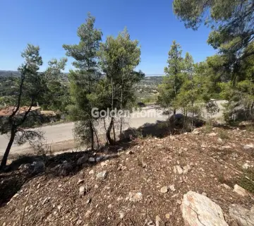 Οικιστικό 1040τ.μ. προς πώληση φωτογραφία 14
