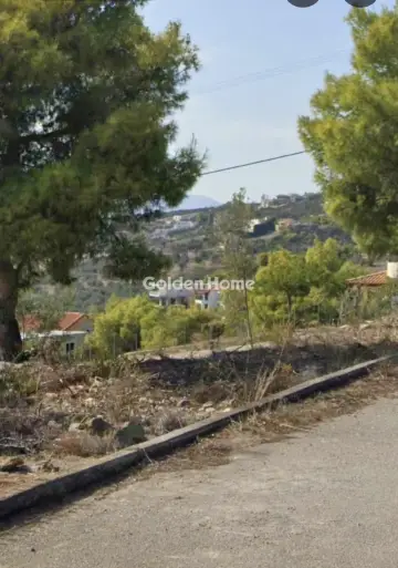 住宅 1141m<sup>2</sup> for sale photo 17