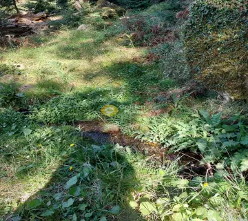 Area 4500m<sup>2</sup> for sale photo 4232895