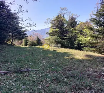 Area 4500m<sup>2</sup> for sale photo 4232897