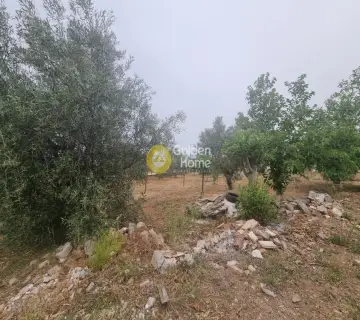 住宅 882m<sup>2</sup> for sale photo 2