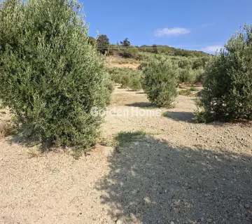 Residential 1580m<sup>2</sup> for sale photo 4976627