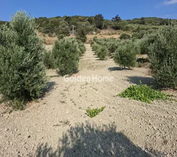 Residential 1580m<sup>2</sup> for sale photo 4976629