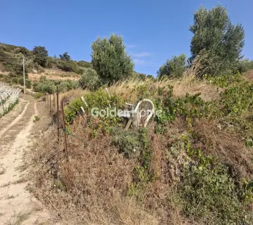Residential 1580m<sup>2</sup> for sale photo 4976633