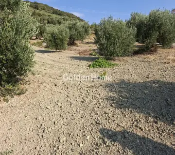 Residential 1580m<sup>2</sup> for sale photo 4976633