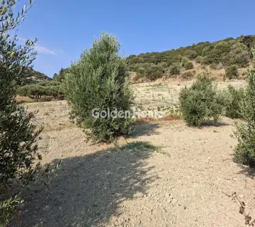 Residential 1580m<sup>2</sup> for sale photo 4976634