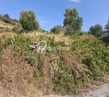 Residential 1580m<sup>2</sup> for sale photo 4976636