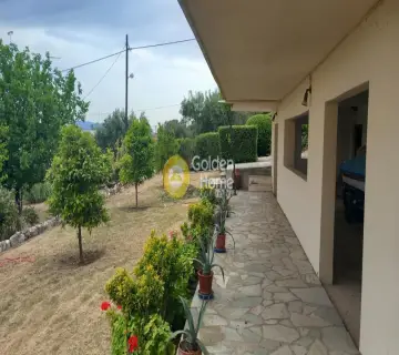 House 100m<sup>2</sup> for sale photo 4