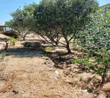Residential 224m<sup>2</sup> for sale photo 4246332