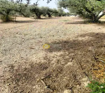 住宅 1870m<sup>2</sup> for sale photo 2
