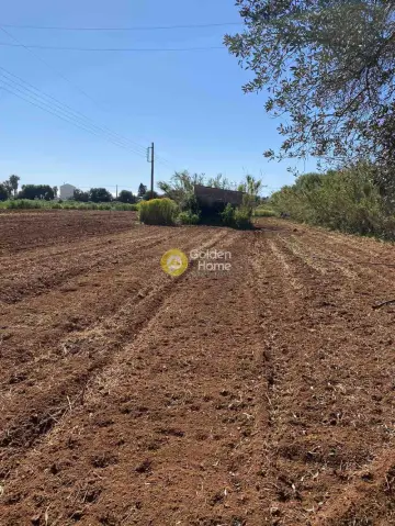 Οικιστικό 13000τ.μ. προς πώληση φωτογραφία 8