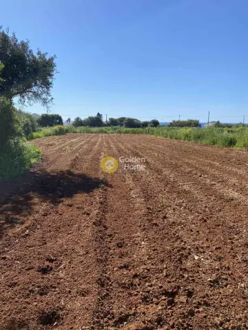 Οικιστικό 13000τ.μ. προς πώληση φωτογραφία 13