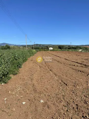 Οικιστικό 13000τ.μ. προς πώληση φωτογραφία 1