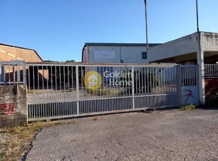 Industrial 6493m<sup>2</sup> for sale photo 4239699