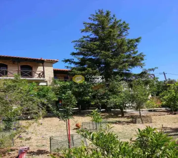 House 350m<sup>2</sup> for sale photo 4
