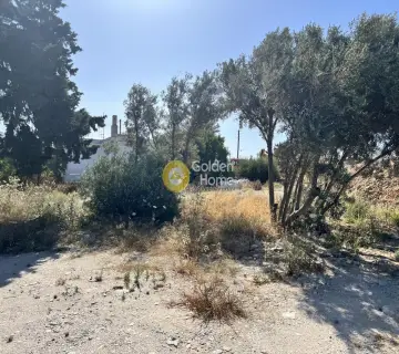 Residential 808m<sup>2</sup> for sale photo 4237010