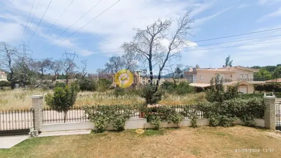 Μονοκατοικία 286τ.μ. προς πώληση φωτογραφία 2