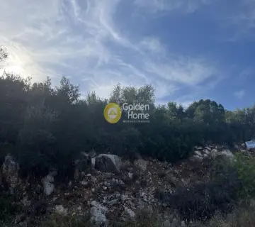 Οικιστικό 1060τ.μ. προς πώληση φωτογραφία 4
