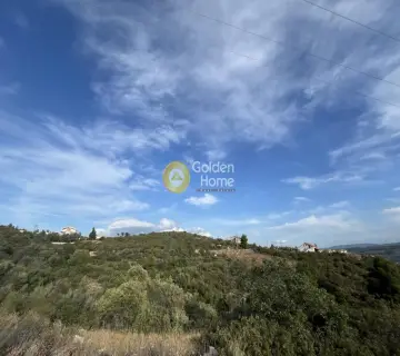 Οικιστικό 1060τ.μ. προς πώληση φωτογραφία 6