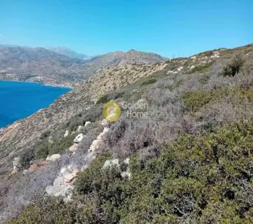 Area 10000m<sup>2</sup> for sale photo 28