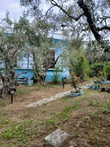 Μονοκατοικία 60τ.μ. προς πώληση φωτογραφία 4794842