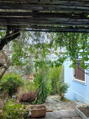 Μονοκατοικία 60τ.μ. προς πώληση φωτογραφία 4794843