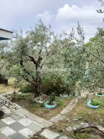 Μονοκατοικία 60τ.μ. προς πώληση φωτογραφία 4794845