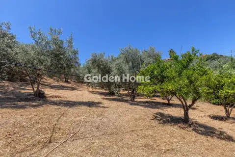 Μονοκατοικία 164τ.μ. προς πώληση φωτογραφία 42