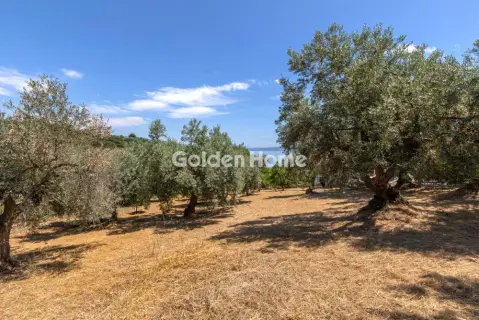 Μονοκατοικία 164τ.μ. προς πώληση φωτογραφία 41