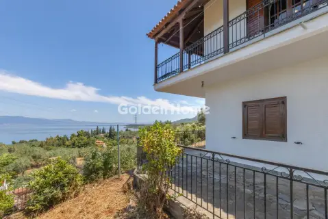 Μονοκατοικία 164τ.μ. προς πώληση φωτογραφία 35