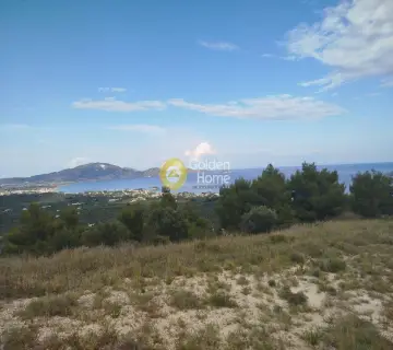Area 11915m<sup>2</sup> for sale photo 2
