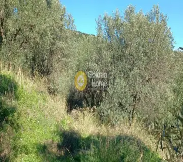 Parcel 828m<sup>2</sup> for sale photo 4358404