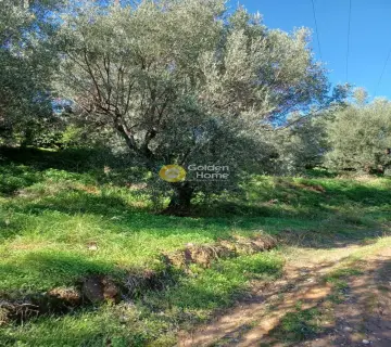 Parcel 828m<sup>2</sup> for sale photo 4358407