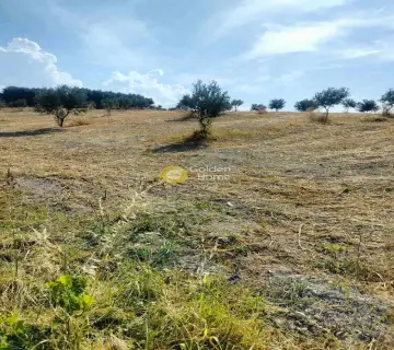 Residential 8430m<sup>2</sup> for sale photo 4311320