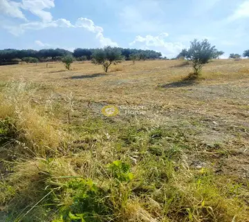 Residential 8430m<sup>2</sup> for sale photo 4311322