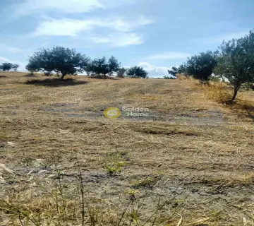 Residential 8430m<sup>2</sup> for sale photo 4311326