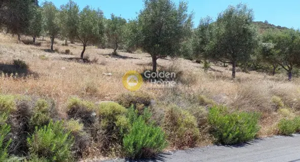 Αγροτεμάχιο 7300τ.μ. προς πώληση φωτογραφία 1