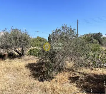 Residential 850m<sup>2</sup> for sale photo 4252028
