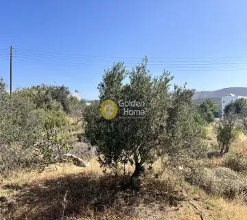 Residential 850m<sup>2</sup> for sale photo 4252030