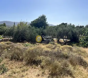 Residential 1701m<sup>2</sup> for sale photo 3