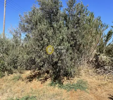 Residential 1701m<sup>2</sup> for sale photo 8