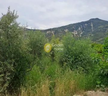 住宅 646m<sup>2</sup> for sale photo 4254388