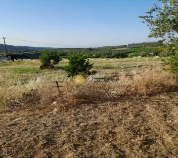 Οικιστικό 441τ.μ. προς πώληση φωτογραφία 4259831