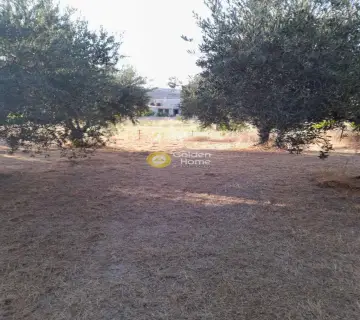 Οικιστικό 441τ.μ. προς πώληση φωτογραφία 4259831