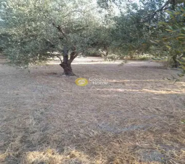 Οικιστικό 441τ.μ. προς πώληση φωτογραφία 4259831