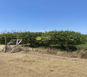 Residential 4400m<sup>2</sup> for sale photo 4310966